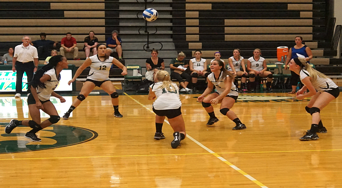 Women's Volleyball vs Niagara County CC