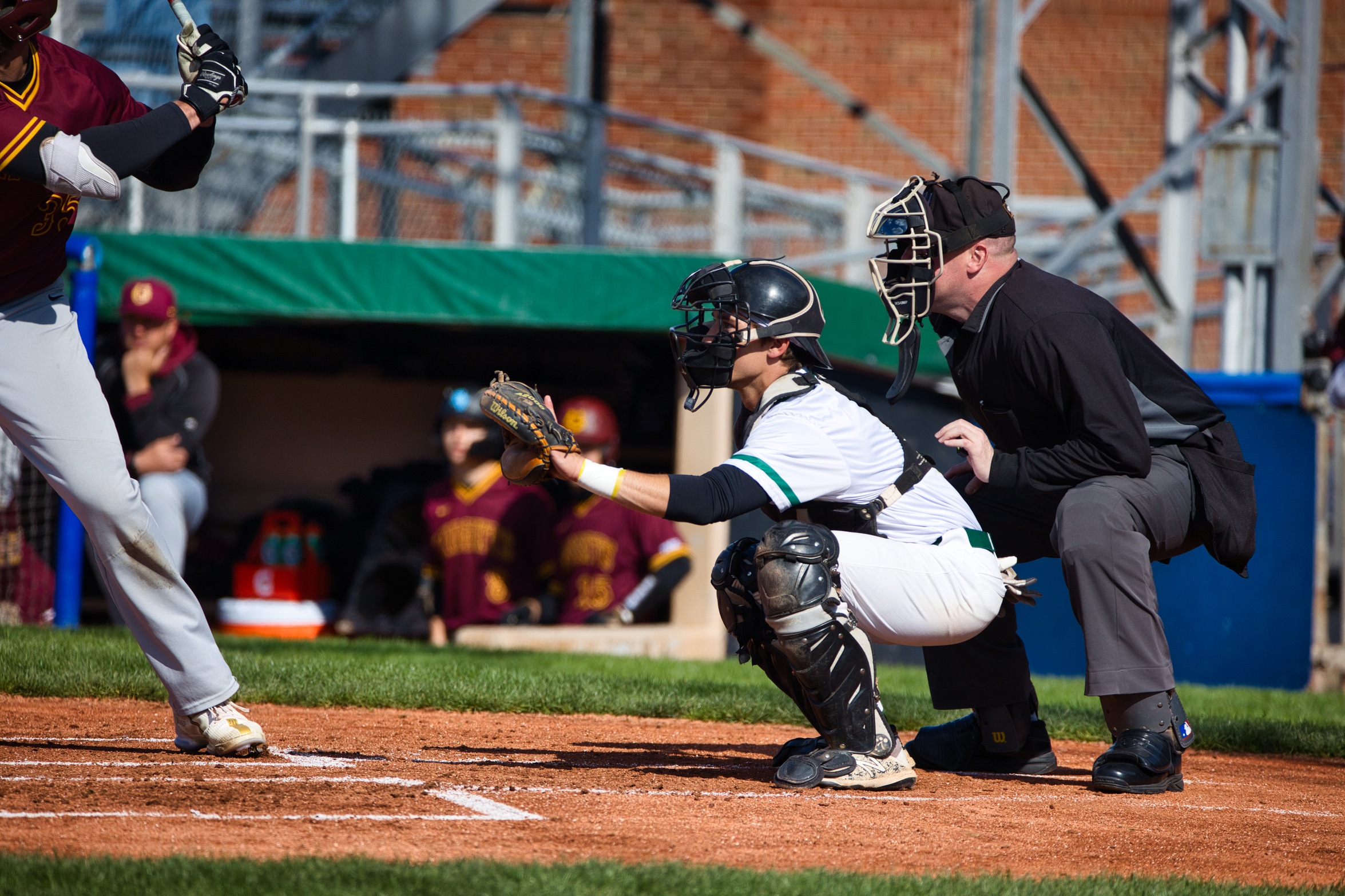 Baseball Battles Hard But Drop Two To No. 5 Thunderwolves