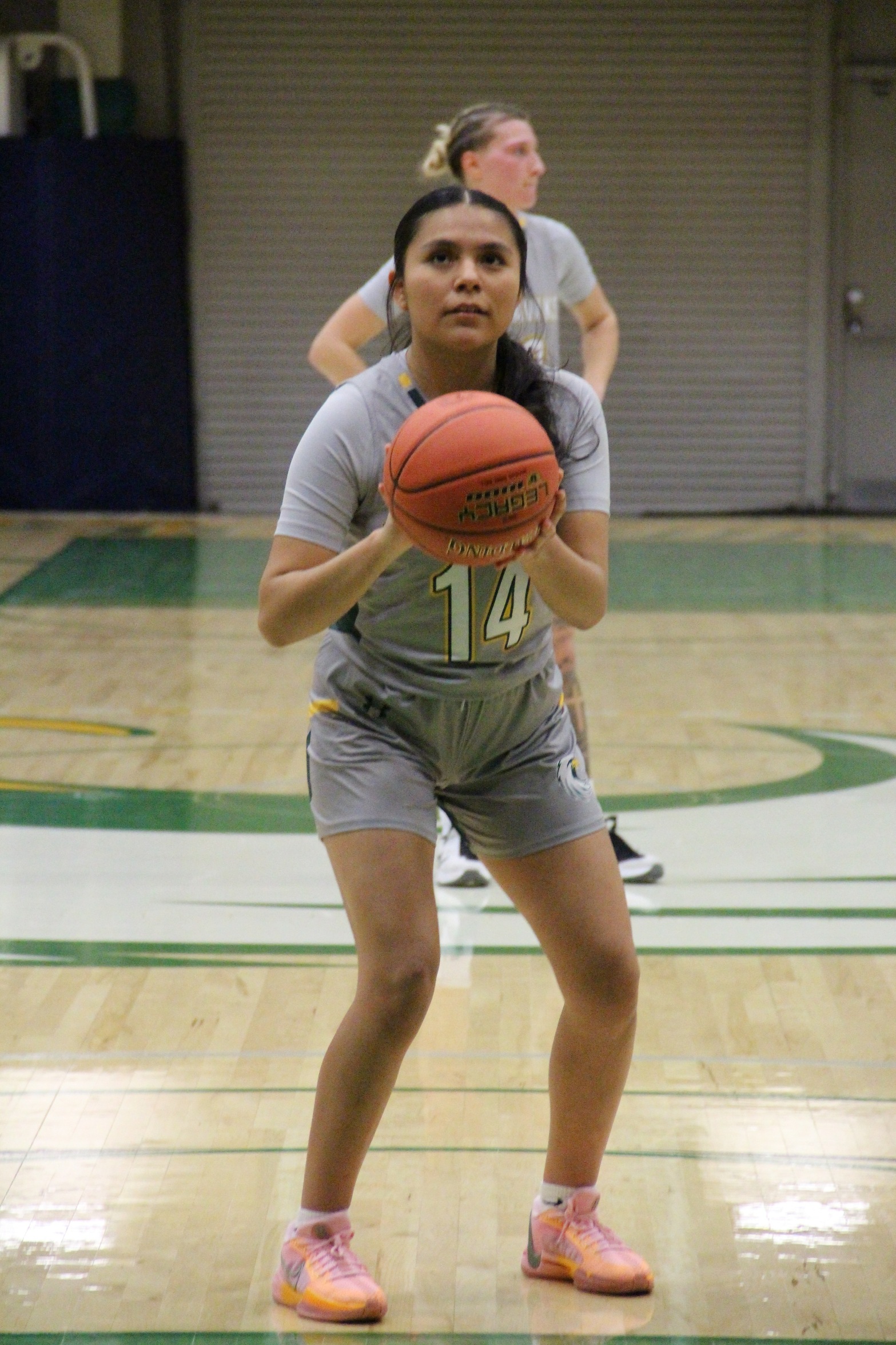 Jamestown Takes Bite out of Big Apple in Road Win