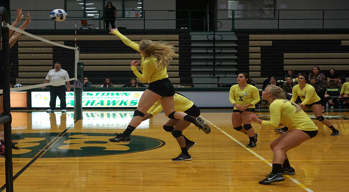 women's volleyball vs Mercyhurst-NE